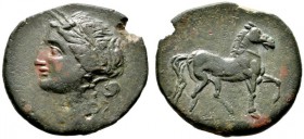  GRIECHISCHE MÜNZEN   ZEUGITANA   Karthago   (D) Bronze (13,81g), Karthago, 201-195 v. Chr. Av.: Kopf der Tanit mit Ährenkranz n.l. Rv.: Pferd n.r. MA...