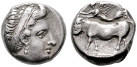  GRIECHISCHE MÜNZEN   CAMPANIA   Nola   (D) Nomos/Didrachme (7,24g), ca. 400-385 v. Chr. Nymphenkopf mit Haarband / Androkephaler Stier, darüber Nike ...