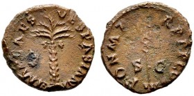  RÖMISCHE KAISERZEIT   Vespasianus (69-79)   (D) Quadrans (1,97g), Roma, 71 n. Chr. Av.: IMP CAES - VESPASIAN AVG, Palme. Rv.: PON M T-R P P P COS III...