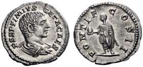 The Roman Empire   Geta caesar, 198 – 209  Denarius 209, AR 3.40 g. P SEPTIMIVS GETA CAES Bareheaded and draped bust r. Rev. PONTIF COS II Geta standi...