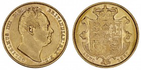 GRAN BRETAÑA
GUILLERMO IV
Soberano. AV. 1837. 7,97 g. KM.717. Muy escasa así. EBC
