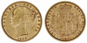 GRAN BRETAÑA
VICTORIA
Soberano. AV. 1858. 7,96 g. KM.736,1. EBC-/EBC