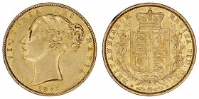 GRAN BRETAÑA
VICTORIA
Soberano. AV. 1865. 7,98 g. KM.736,2. EBC-/EBC
