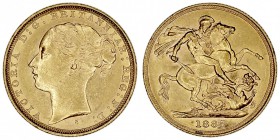 GRAN BRETAÑA
VICTORIA
Soberano. AV. 1885 S. Sidney. 7,98 g. KM.7. EBC