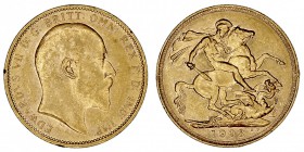 GRAN BRETAÑA
EDUARDO VII
Soberano. AV. 1903 S. Sidney. 7,99 g. KM.15. Marquitas ligeras en listel, si no EBC+