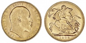 GRAN BRETAÑA
EDUARDO VII
Soberano. AV. 1908 M. Melburne. 7,99 g. KM.15. Golpecito en listel, si no EBC+