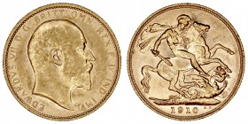 GRAN BRETAÑA
EDUARDO VII
Soberano. AV. 1910 S. Sidney. 7,99 g. KM.15. Brillo original. Escasa así. EBC+/SC-