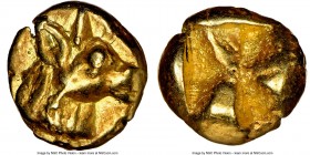 IONIA. Uncertain mint. Ca. 600-550 BC. EL 1/12 stater or hemihecte (8mm, 1.31 gm). NGC Choice XF 5/5 - 5/5. Head and neck of animal (bovine?) right, w...