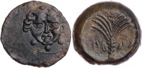 SIZILIEN MOTYA
AE-Tetras um 413-397 v. Chr. Vs.: Gorgoneion über drei Wertkugeln, Rs.: neupunische Legende, Palme Jenkins, Punic Sicily I 74 Taf. 23,...