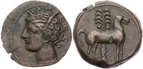 SIZILIEN SIKELOPUNIER
 AEs 310-290 v. Chr. Vs.: Kopf der Tanit mit Ährenkranz n. l., Rs.: Pferd steht vor Dattelpalme n. r. Calciati III, 388ff, 20/1...