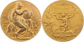 GEWERBE, HANDEL, INDUSTRIE WELTAUSSTELLUNGEN
Paris (1900) Vergoldete Bronzemedaille o. J. (1884-1894) v. Alphée Dubois / Henri Dubois, bei Monnaie de...