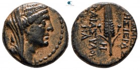 Seleucis and Pieria. Apameia circa 100 BC. Bronze Æ