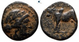 Seleukid Kingdom. Antioch on the Orontes. Seleukos II Kallinikos 246-226 BC. Bronze Æ