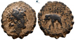 Seleukid Kingdom. Antioch on the Orontes. Antiochos VI Dionysos 144-142 BC. Serrate Æ