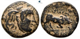 Seleukid Kingdom. Sardeis. Seleukos I Nikator 312-281 BC. Bronze Æ