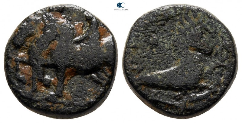 Kings of Commagene. Uncertain mint. Epiphanes & Kallinikos AD 60-72. 
Bronze Æ...