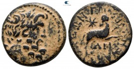 Seleucis and Pieria. Antioch. Pseudo-autonomous issue AD 12-13. Bronze Æ