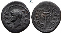 Seleucis and Pieria. Antioch. Domitian AD 81-96. Bronze Æ