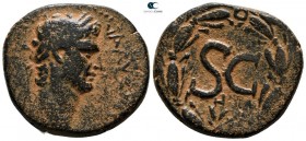 Seleucis and Pieria. Antioch. Nerva AD 96-98. Bronze Æ