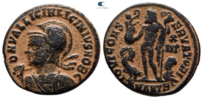 Licinius II, as Caesar AD 317-324. Antioch
Follis Æ

18 mm., 3.04 g.



v...