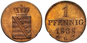 GERMANIA
Sassonia. Friedrich August II, 1836-1854.
Pfenning 1838, G.
Æ, gr. 1,72 
KM#1135.
 FDC
Autore: G. Ferraris (diritto).