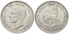 SUD AFRICA
Giorgio VI, 1936-1952. 
5 Shillings 1947.
Ag, gr. 28,32
Dr. Testa nuda a s.
Rv. La gazzella, simbolo del Sud Africa.
KM# 31.
 SPL