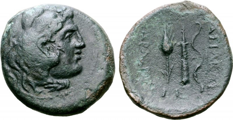 Kings of Skythia, Charaspes Æ22. Circa 190-188 BC. Head of Herakles in lion skin...
