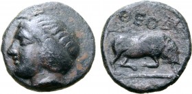 Kimmerian Bosporos, Theodosia Æ13.