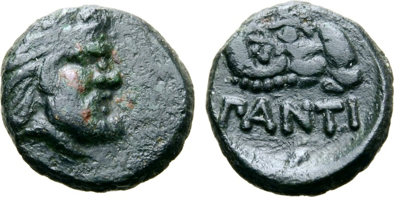 Kimmerian Bosporos, Pantikapaion Æ11. Circa 340-325 BC. Head of bearded satyr ri...