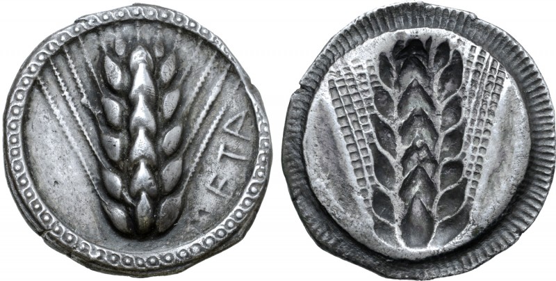 Lucania, Metapontion AR Stater. Circa 510-470 BC. Ear of barley with six grains ...