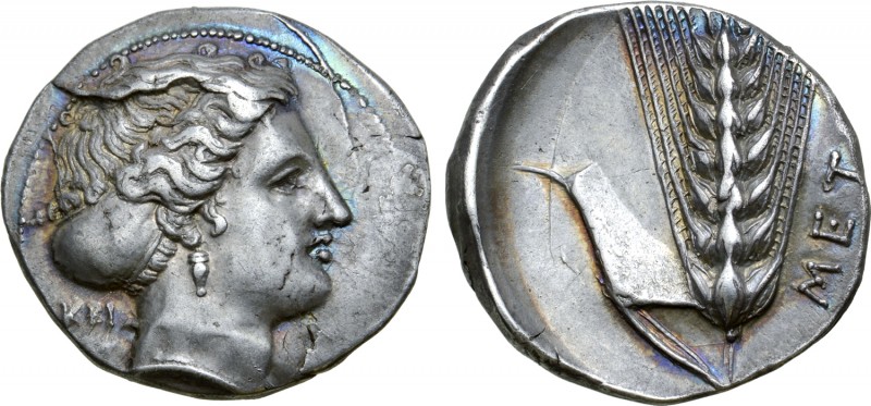 Lucania, Metapontion AR Stater. Circa 400-340 BC. Obverse die signed by Apol-. H...