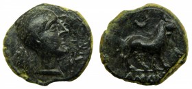 HISPANIA ANTIGUA Iberia - Castulo (Linares) (siglo II aC). Senis. ACIP 2129. 4,0 g. Escasa.
ebc