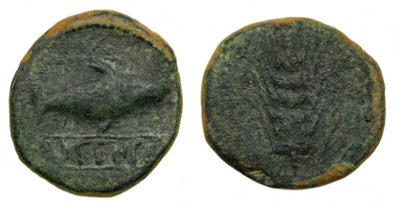 HISPANIA ANTIGUA Iberia - Ilipense (Alcalá del Rio, Sevilla) (siglo II aC). Semi...