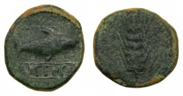 HISPANIA ANTIGUA Iberia - Ilipense (Alcalá del Rio, Sevilla) (siglo II aC). Semis. ACIP 2336. 9,9 g.
bc+