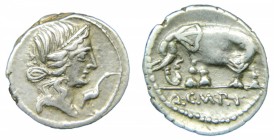 ROMA República - Q. Caecilius Metellus Pius. (81 aC). Denario. (RSC Caecilia 43; Sear 301). 4,1 g.
mbc+