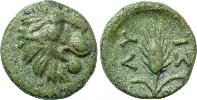 THRACE. Lysimacheia. Ae (Circa 309-220 BC). 

Obv: Head of lion right.
Rev: Λ...
