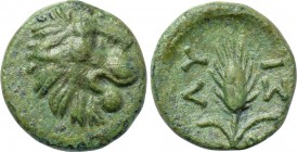 THRACE. Lysimacheia. Ae (Circa 309-220 BC).