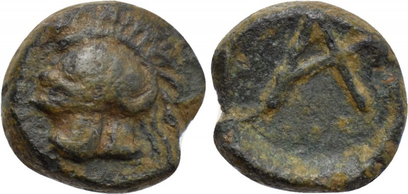 TROAS. Achilleion. Ae (4th century BC). 

Obv: Crested helmet left.
Rev: Mono...
