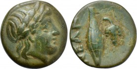 TROAS. Neandria. Ae (4th century BC).