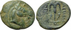 SELEUKID KINGDOM. Antiochos I Soter (281-261 BC). Ae. Uncertain mint in Mesopotamia or farther East.