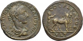 THRACE. Deultum. Severus Alexander (222-235). Ae.