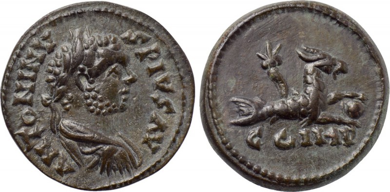 MYSIA. Parium. Caracalla (198-217). Ae. 

Obv: ANTONINVS PIVS AV. 
Laureate, ...