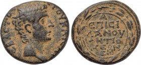 SELEUCIS & PIERIA. Antioch. Tiberius (14-37). Ae Semis. Q. Caecelius Metellus Creticus Silanus, legatus. Dated RY 1 and 45 of the Actian Era (14).
