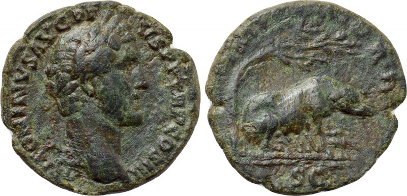 ANTONINUS PIUS (138-161). As. Rome. 

Obv: ANTONINVS AVG PIVS P P TR P COS III...