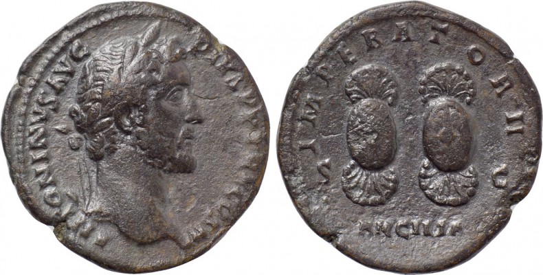 ANTONINUS PIUS (138-161). As. Rome. 

Obv: ANTONINVS AVG PIVS P P TR P COS II....
