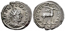 Filipo I. Antoninisno. 248 d.C. Roma. (Spink-8658). (Ric-19). (Seaby-182). Rev.: SAECVLARES AVGG. Antílope caminando a derecha. Ag. 3,17 g. Pequeña gr...