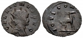 Galieno. Antoniniano. 267-268 d.C. Roma. (Spink-10236). (Ric-207). (Seaby-344). Rev.: IOVI CON(S AVG). Cabra caminando a derecha. Ve. 1,97 g. MBC. Est...