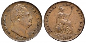 Gran Bretaña. William IV. 1 farthing. 1835. (Km-705). Ae. 4,53 g. EBC-. Est...35,00. English: United Kingdom. William IV. 1 farthing. 1835. (Km-705). ...