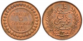 Túnez. 5 centimes. 1891. París. A. (Km-221). Ae. 4,96 g. Restos de brillo original. SC-. Est...18,00. English: Tunisia. 5 centimes. 1891. Paris. A. (K...