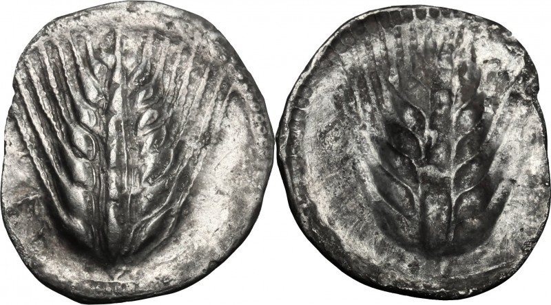 Greek Italy. Southern Lucania, Metapontum. AR Drachm, 540-510 BC. D/ Ear of barl...